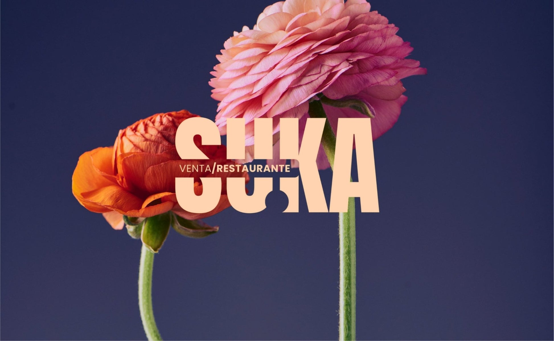 Plantillas de Logotipos Editables para Canva - UnhigoArt™ Shop Mi tienda