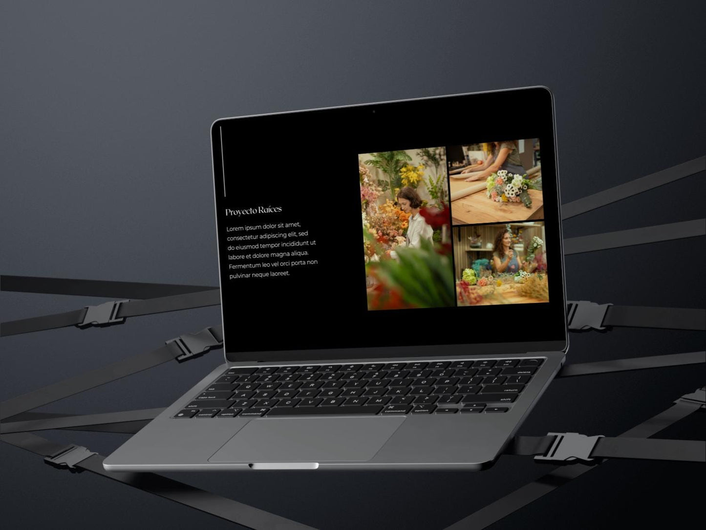 Portafolio de diseño minimalista: Plantilla editable en Canva para artistas visuales y fotógrafos - UnhigoArt™ Shop Mi tienda